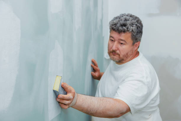 Best Ceiling Drywall Installation  in Walford, IA